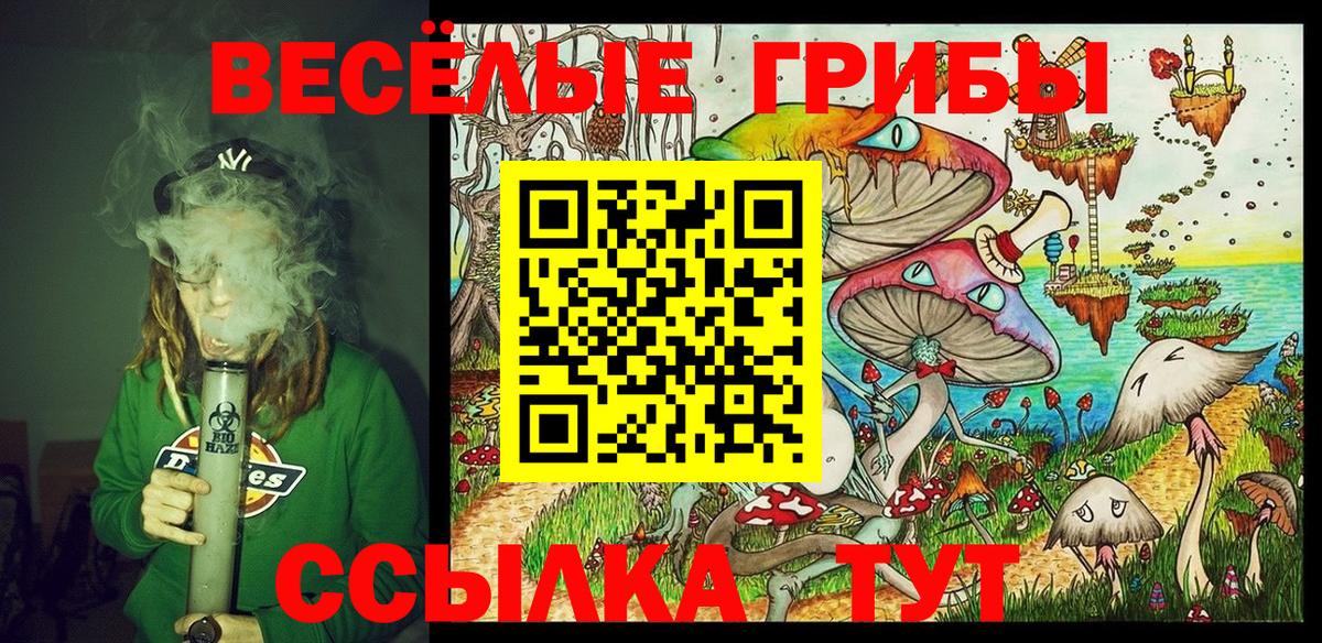 Шахты  Псилоцибиновые грибы Cubensis  Вход с VPN  Псилоцибиновые грибы прущие грибы 